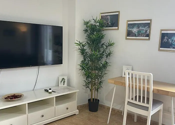 Central Apartment In La Laguna